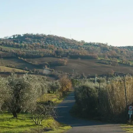 Le Casette Petricci