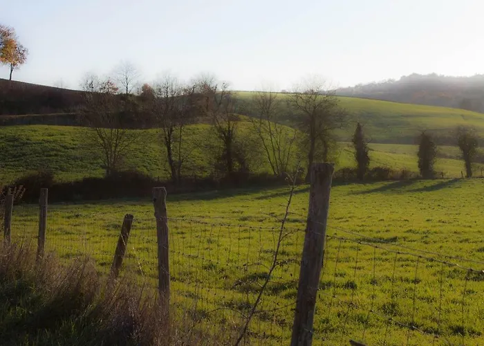 Le Casette * Petricci